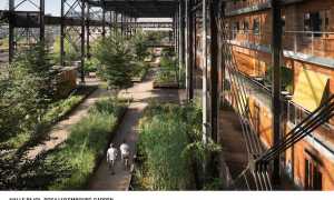 14. HALLE PAJOL ROSA LUXEMBURG GARDEN Ph Karolina Samborski