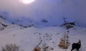 2018 11 16 14 15 48.725