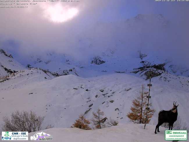 2018 11 16 14 15 48.725