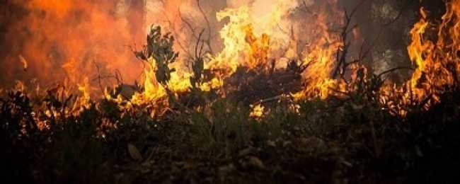 293785382 1753162411711809 8626193516286011193 n