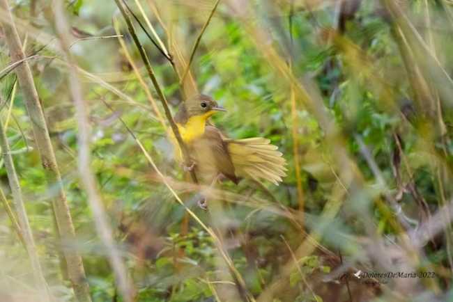 313909682 6385837594776109 3667682078679753279 n