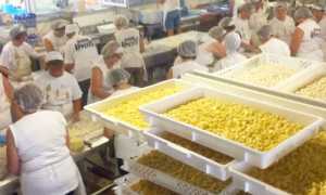 6029384E D34C 421A A8A1 739AE055B893