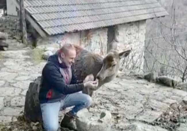 FB8DD2FF 43BB 48CD B5D1 8F34BA2FA7B9