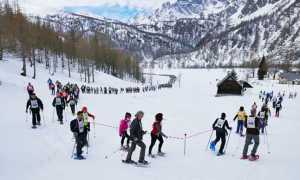 Il popolo de La Traccia Bianca images sampledata 2018 febbraio thumb medium650 0