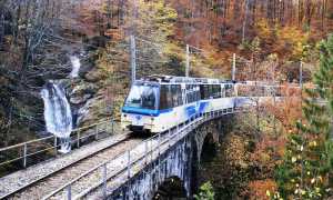 SELEZIONE FOLIAGE Piana ORcesco PICT0039 Renzo