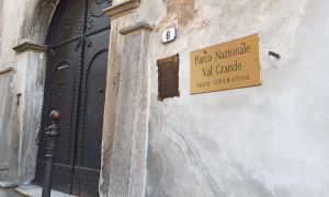 Schermata 2019 03 11 alle 13.34.22