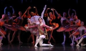 Schermata 2019 12 14 alle 09.50.50