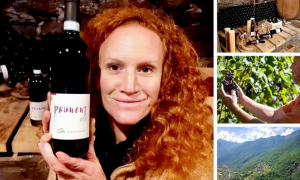 Schermata 2021 01 14 alle 12.41.56