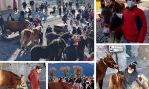 Schermata 2021 01 17 alle 17.07.55