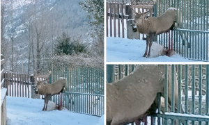 Schermata 2021 01 25 alle 09.42.22