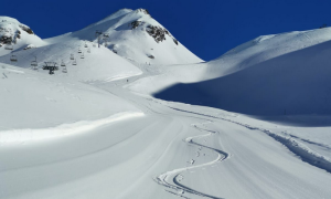 Schermata 2021 02 14 alle 20.50.33