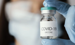 Schermata 2021 05 08 alle 18.32.38 copia images articles vco ossola 2022 febbraio thumb medium650 0