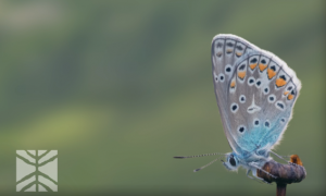 Schermata 2021 08 07 alle 09.35.15