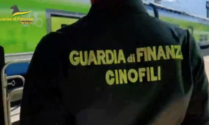 Schermata 2023 01 11 alle 10.51.36