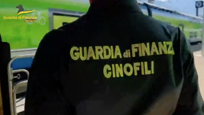 Schermata 2023 01 11 alle 10.51.36