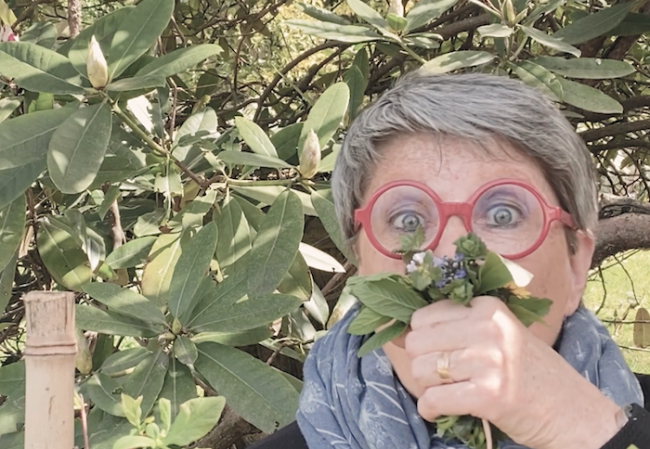 Schermata 2024 05 14 alle 10.51.22