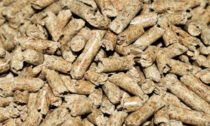 Screenshot 2023 01 08 alle 09.21.19