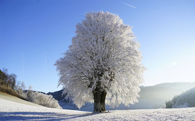 Screenshot 2023 01 21 alle 19.17.54