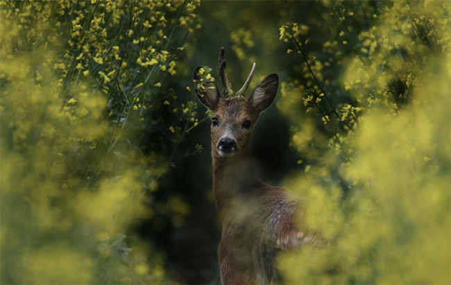 Screenshot 2024 10 20 alle 20.56.34