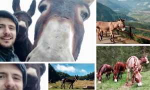 WhatsApp Image 2020 04 30 at 08.49.41