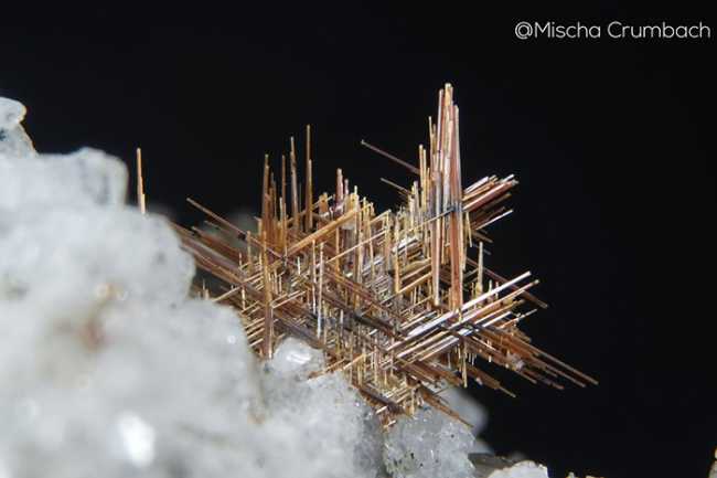 WhatsApp Image 2021 08 31 at 14.22.00