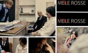 WhatsApp Image 2021 12 14 at 11.21.21