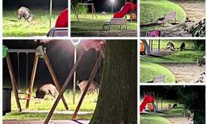 WhatsApp Image 2023 09 13 at 12.10.58