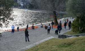 agrumi cannero riviera