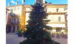 albero natale 17