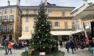 albero natale piazza mercato 21