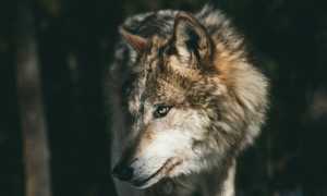 andrew ly iUA1cea8QiY unsplash