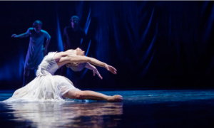 balletto cigni fabbrica