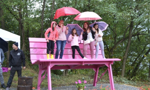 banchina rosa gigante anzasca ceppo