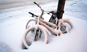 bici neve