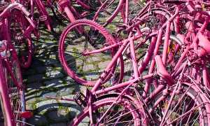bici rosa