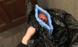 boccone avvelenato pallanza