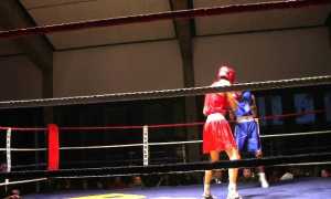 boxe locarno