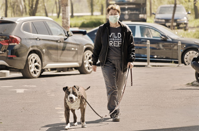 cane guinzaglio passeggiata mascherina