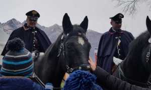 carabinieri cavallo narale
