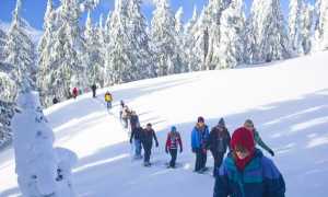 ciaspolata neve eventi ossola vco