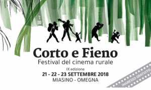 corto fieno 2018