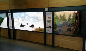 crodo centro visite parco