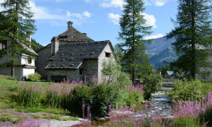 devero case piaba fiori