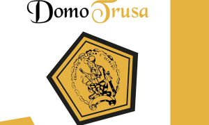 domo trusa logo carnevale