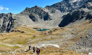 fabbri sopra sempione