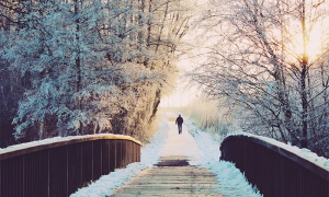 freddo ghiaccio uomo sentiero ponte