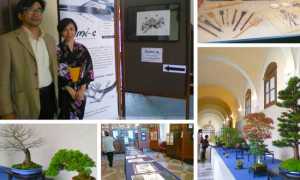 giappone rosmini mix