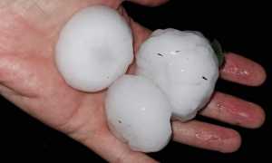 grandine locarno ago 23 4