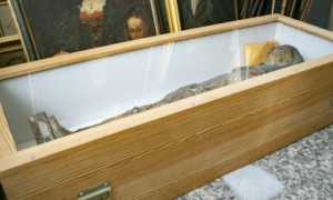 l la mummia di brissago lascera il palazzo comunale juxk1