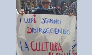 lupi cartello distruggendo